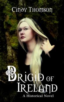 Brigid of Ireland (Daughters of Ireland Book 1) Read online