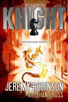 Callsign: Knight - Book 1 (A Shin Dae-jung - Chess Team Novella) Read online