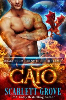 Cato: House of Flames (Dragon Guardians Book 4)