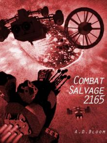 COMBAT SALVAGE 2165 Read online