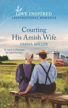 Courting His Amish Wife Read online