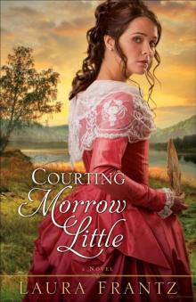 Courting Morrow Little: A Novel Read online