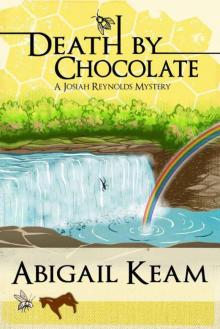 Death By Chocolate 6 (Mystery and Women Sleuths) (Josiah Reynolds Mysteries) Read online