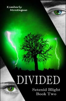 Divided Read online