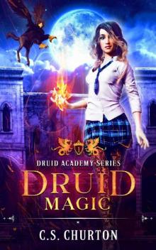 Druid Magic (Druid Academy Book 1) Read online