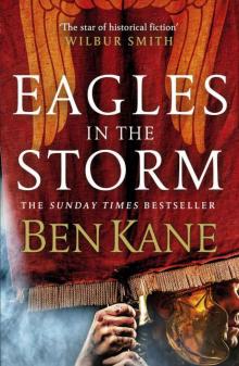 Eagles in the Storm Read online