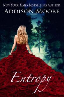 Entropy (The Countenance Trilogy 3) Read online