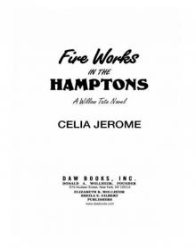 Fire Works in the Hamptons : A Willow Tate Novel (9781101547649) Read online