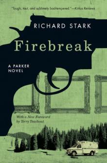 Firebreak p-20 Read online