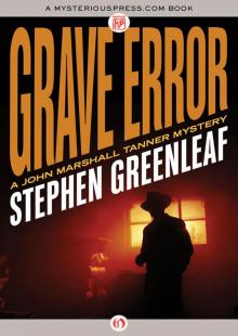 Grave Error Read online