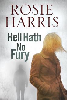 Hell Hath No Fury Read online
