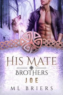 His Mate- Brothers- Joe- Book Two of Adrian and Leo