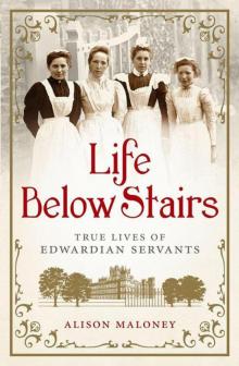 Life Below Stairs: True Lives of Edwardian Servants Read online