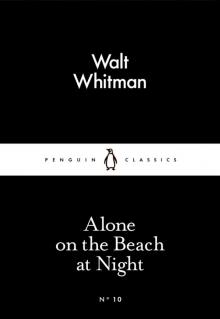On the Beach at Night Alone Read online