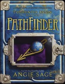 PathFinder (World of Septimus Heap) Read online