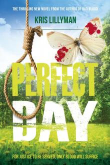 Perfect Day Read online