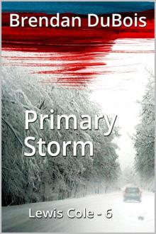 Primary Storm Read online