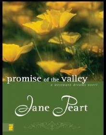 Promise of the Valley Read online