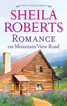 Romance on Mountain View Road Read online