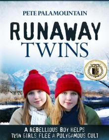 RUNAWAY TWINS (Runaway Twins series #1)