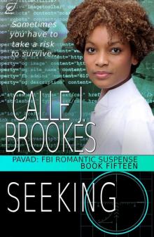 Seeking (PAVAD: FBI Romantic Suspense, #15) Read online