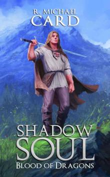 Shadow Soul Read online