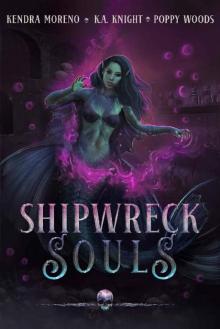 Shipwreck Souls Read online
