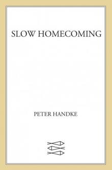 Slow Homecoming Read online