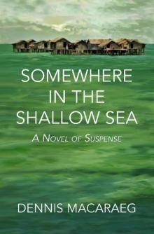 Somewhere in the Shallow Sea: A Novel of Suspense Read online