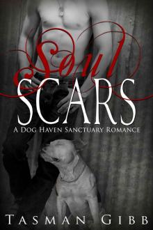 Soul Scars (Dog Haven Sanctuary Romance) Read online
