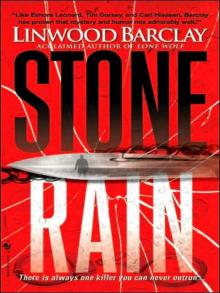 Stone Rain zw-4 Read online