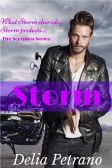 Storm (The Scorpion MC Series Book 3) Read online