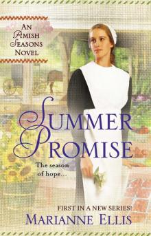 Summer Promise Read online