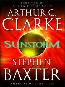 Sunstorm Read online