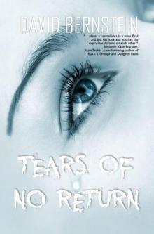 Tears of No Return Read online