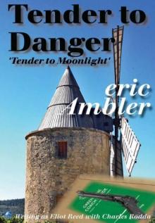 Tender to Danger Read online