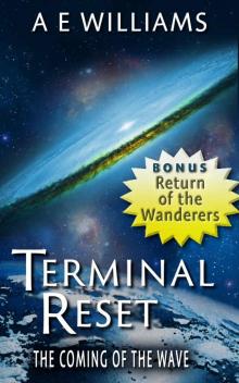 Terminal Reset Omnibus: The Coming of The Wave Read online