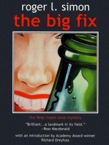 The Big Fix Read online