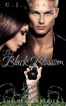 The Black Blossom: A Young Adult Romantic Fantasy (The Healer Series Book 2)