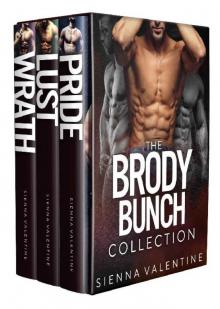 The Brody Bunch Collection: Bad Boy Romance Read online