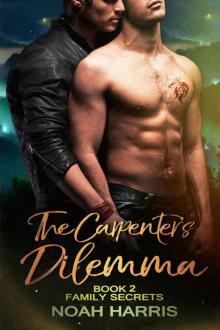 The Carpenter’s Dilemma (Family Secrets Book 2) Read online