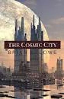 The Cosmic City Read online