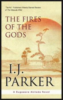 The Fires of the Gods Read online