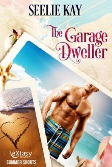 The Garage Dweller