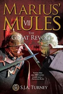 The Great Revolt Read online