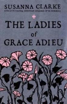 The Ladies of Grace Adieu Read online