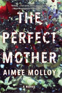 The Perfect Mother Read online