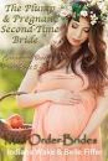 The Pregnant Bride's Trouble Read online