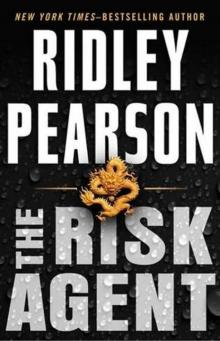 The Risk Agent Read online