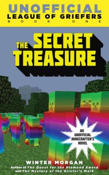 The Secret Treasure Read online